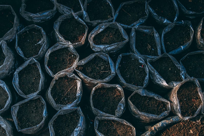 Container Gardening Ideas