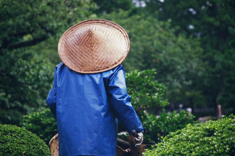 Pruning Plants